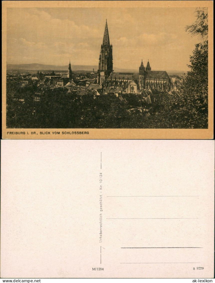 Freiburg Im Breisgau  Vogelschau-Perspektive 1920 - Freiburg I. Br.