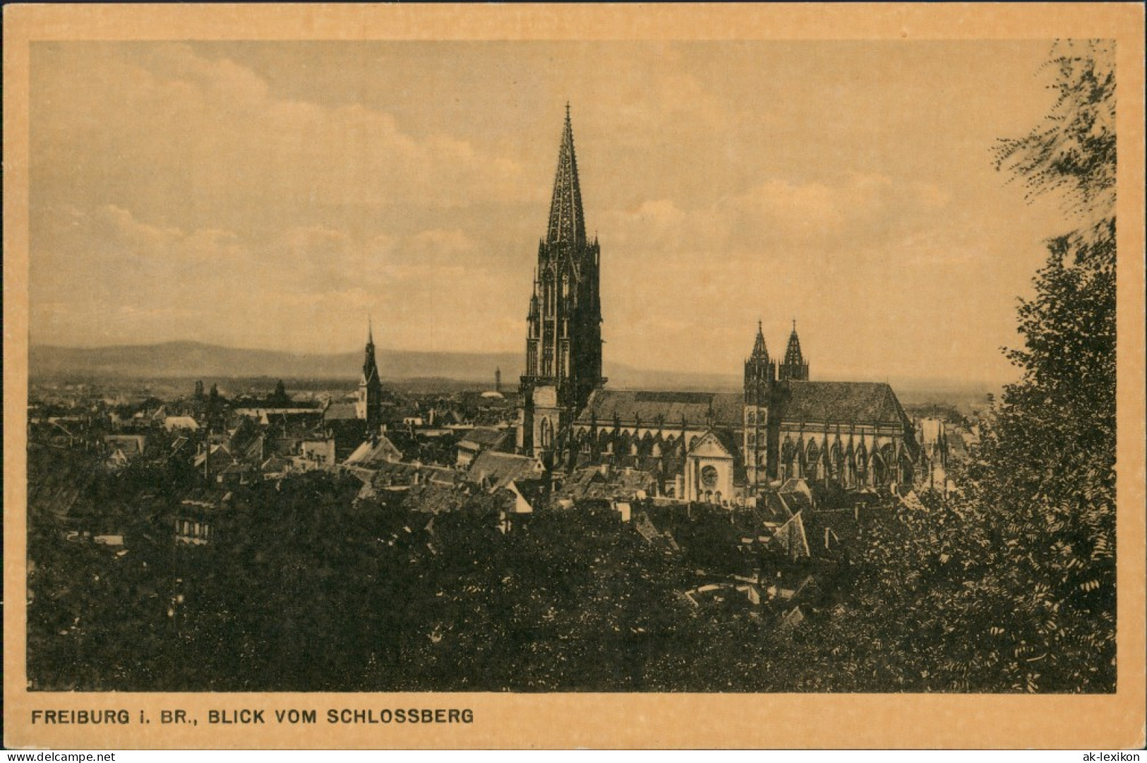 Freiburg Im Breisgau  Vogelschau-Perspektive 1920 - Freiburg I. Br.