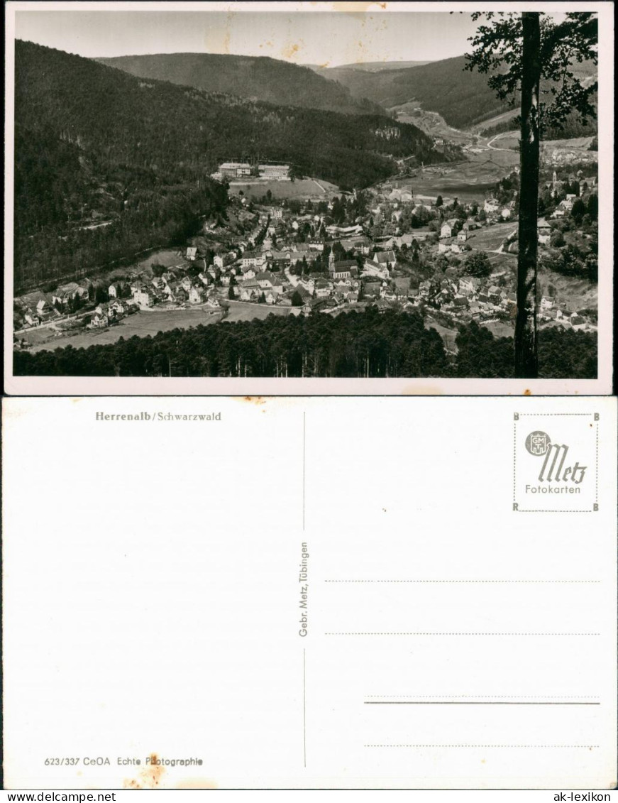 Bad Herrenalb Panorama-Ansicht, Schwarzwald, Blick über Den Ort 1932 - Bad Herrenalb