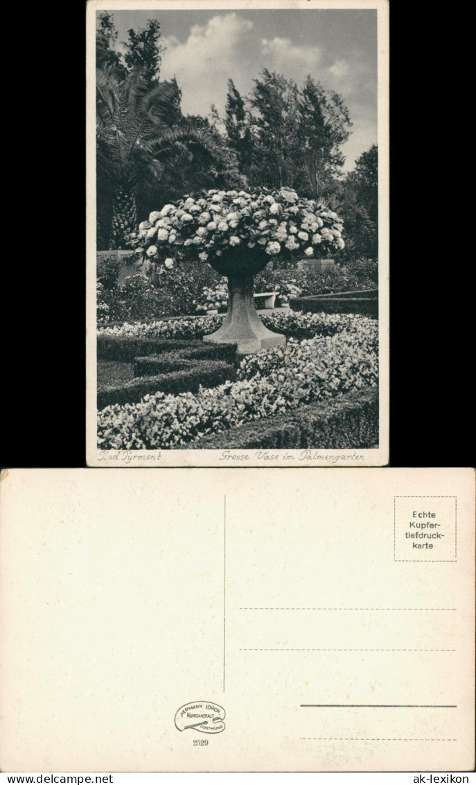 Bad Pyrmont Park, Grosse Vase Im Palmengarten, Pflanzen & Botanik 1930 - Bad Pyrmont