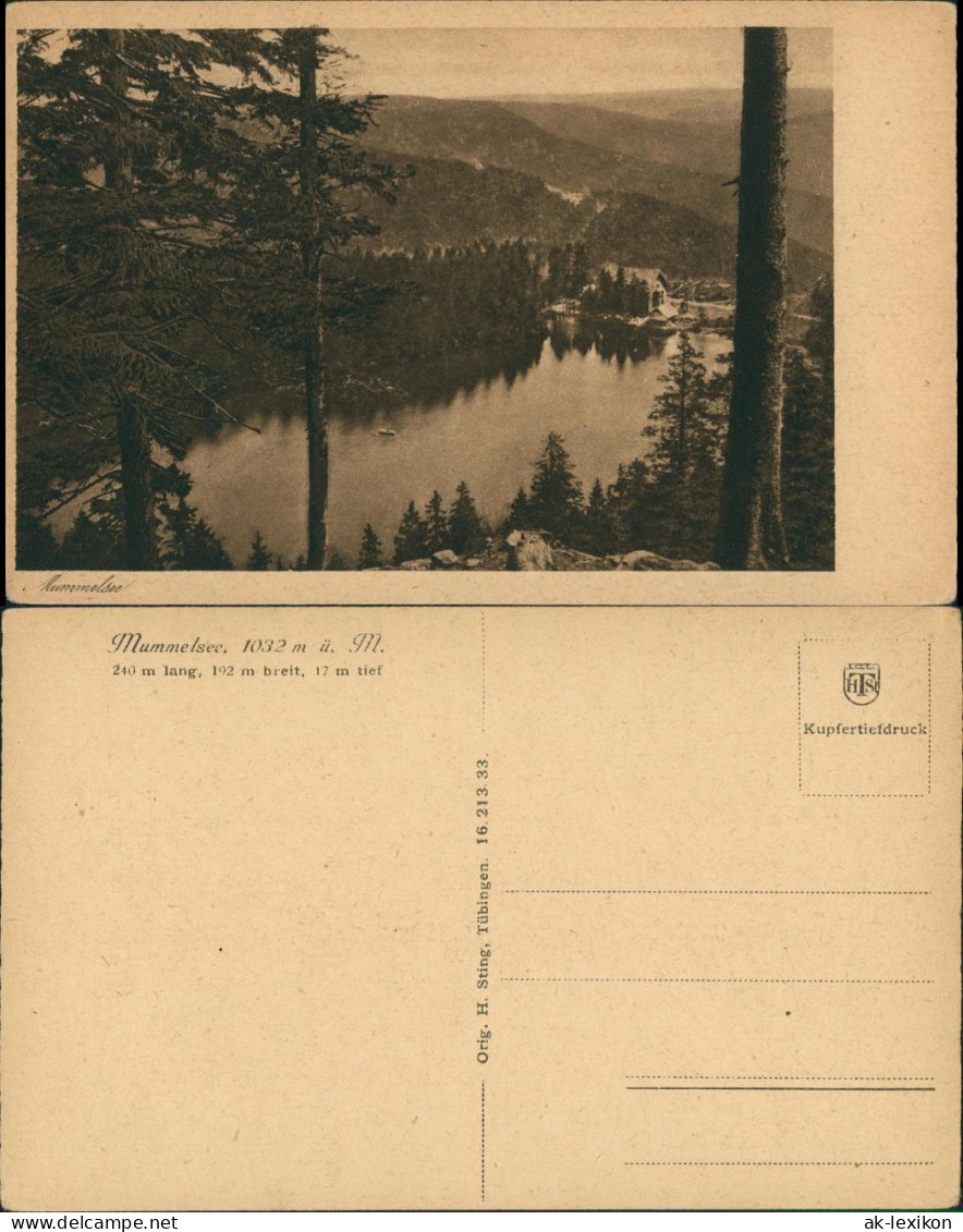 Ansichtskarte Seebach Region Badischer Schwarzwald, Panorama Mummelsee 1920 - Achern