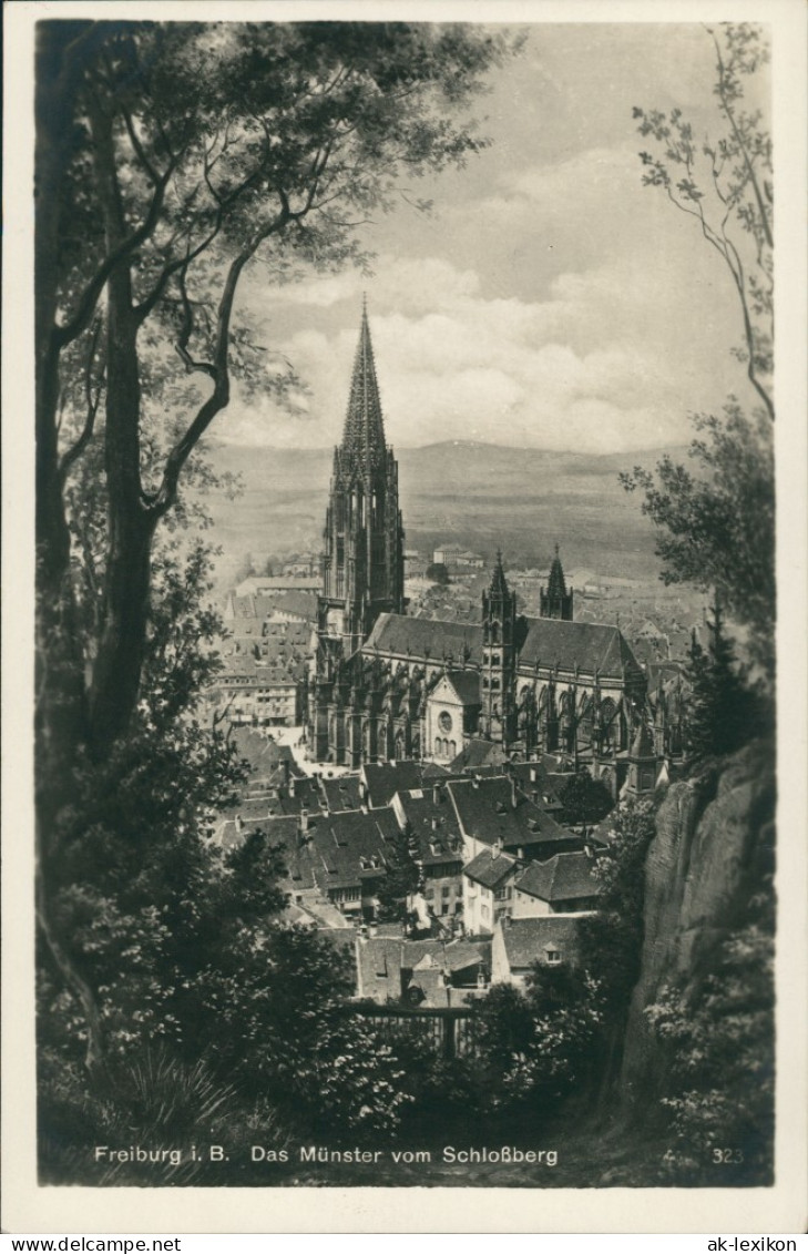 Ansichtskarte Freiburg Im Breisgau Münster Vom Schloßberg Aus Gesehen 1931 - Freiburg I. Br.