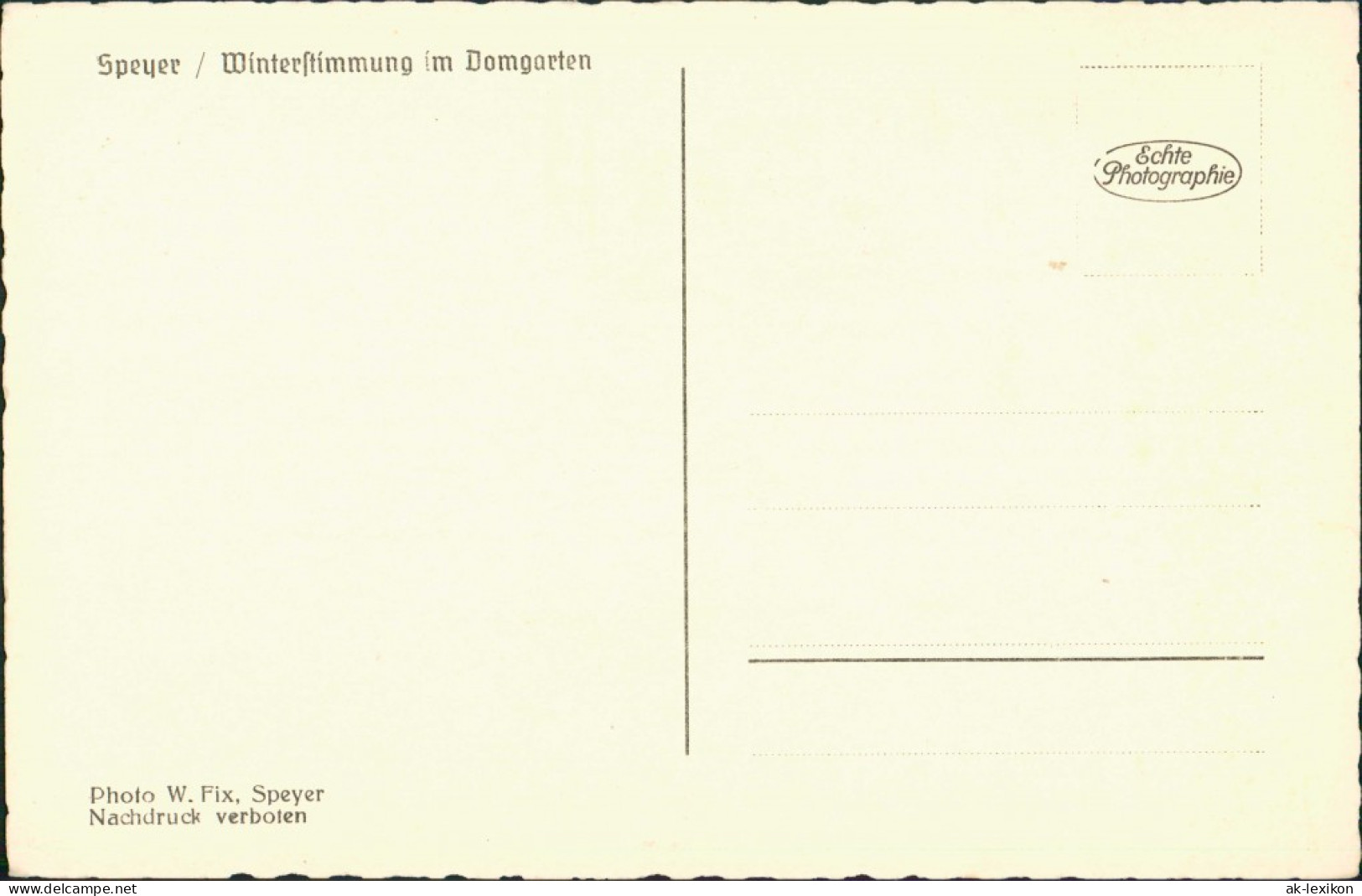 Ansichtskarte Speyer Kaiserdom Winterstimmung, Grusskarte Neues Jahr 1940 - Speyer