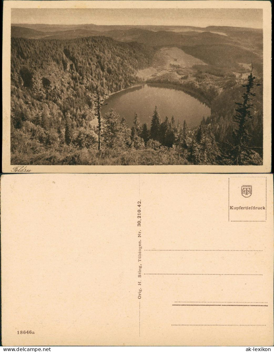 Feldberg (Schwarzwald) Feldsee Aus Der Vogelschau, Black-Forest-view 1920 - Feldberg