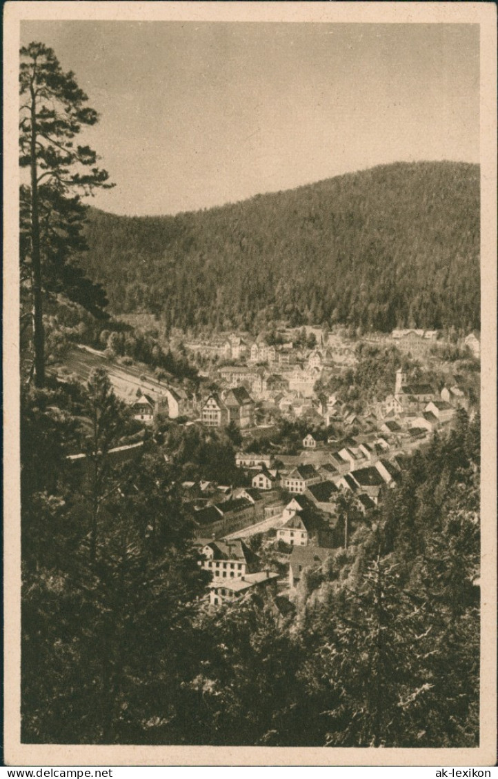 Triberg Im Schwarzwald Panorama-Ansicht, Totalansicht, Blick Schwarzwald 1925 - Triberg