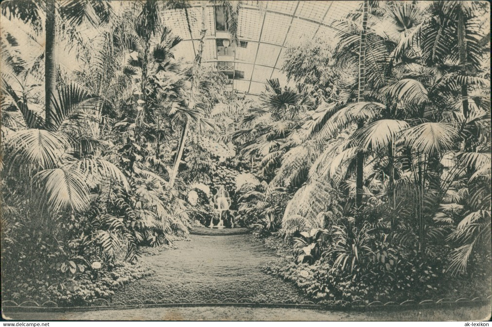 Frankfurt Am Main Palmengarten, Palmenhaus, Palmen Palms Pflanzen Botanik 1910 - Frankfurt A. Main
