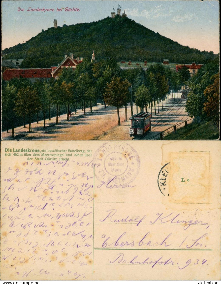 Ansichtskarte Görlitz Zgorzelec Landeskrone - Straße, Straßenbahn 1924 - Goerlitz