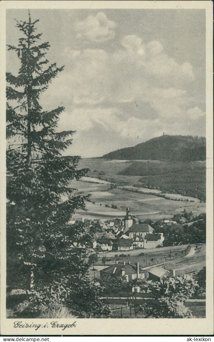 Fürstenwalde-Altenberg (Erzgebirge) Teilansicht  Vogelschau-Perspektive 1950 - Geising