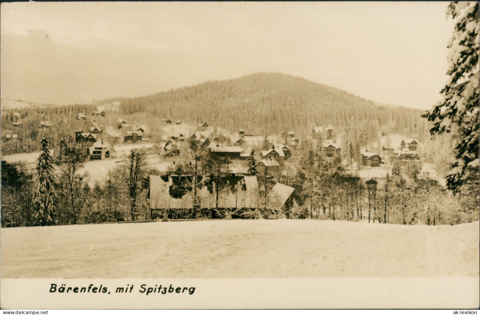 Bärenfels (Erzgebirge)-Altenberg  Panorama-Ansicht Im Winter Mit Spitzberg 1960 - Altenberg