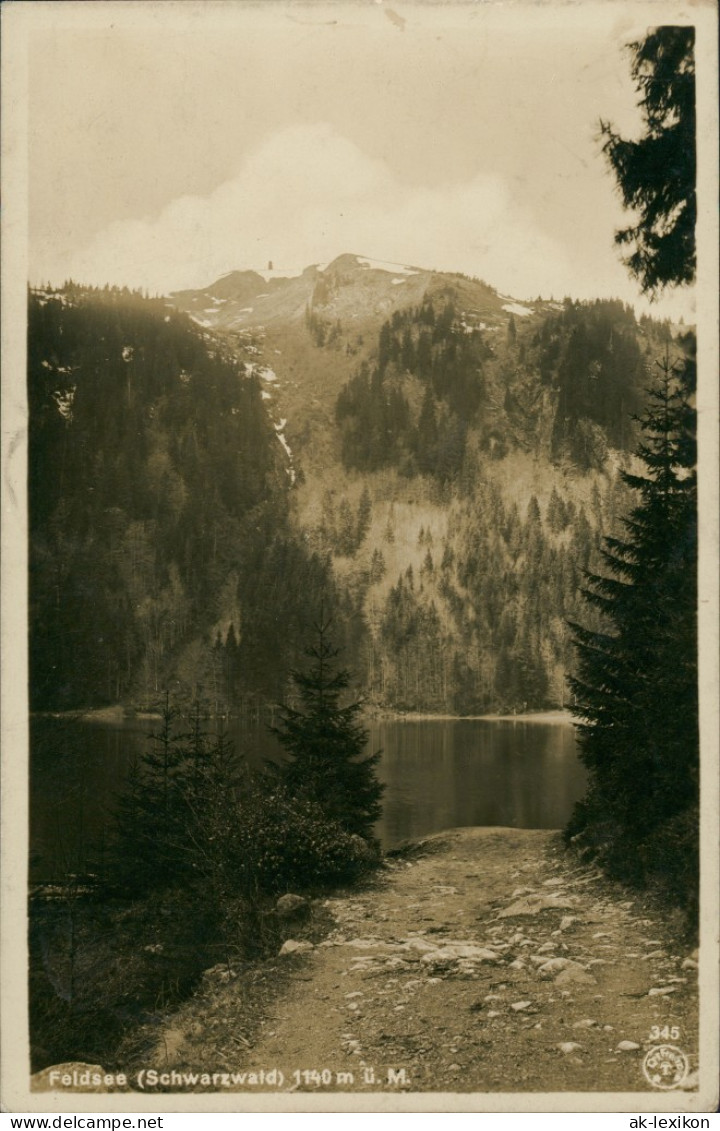 Ansichtskarte Feldberg (Schwarzwald) Wald Partie Am See, Berg, Bergkamm 1930 - Feldberg