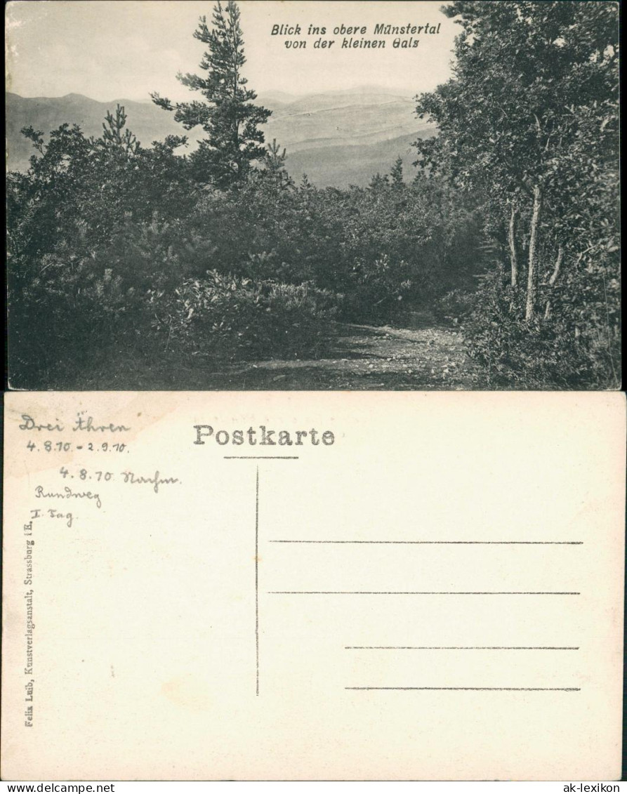 Münstertal/Schwarzwald Panorama-Ansicht Blick Ins Münstertal  Kleinen Gals 1910 - Muenstertal