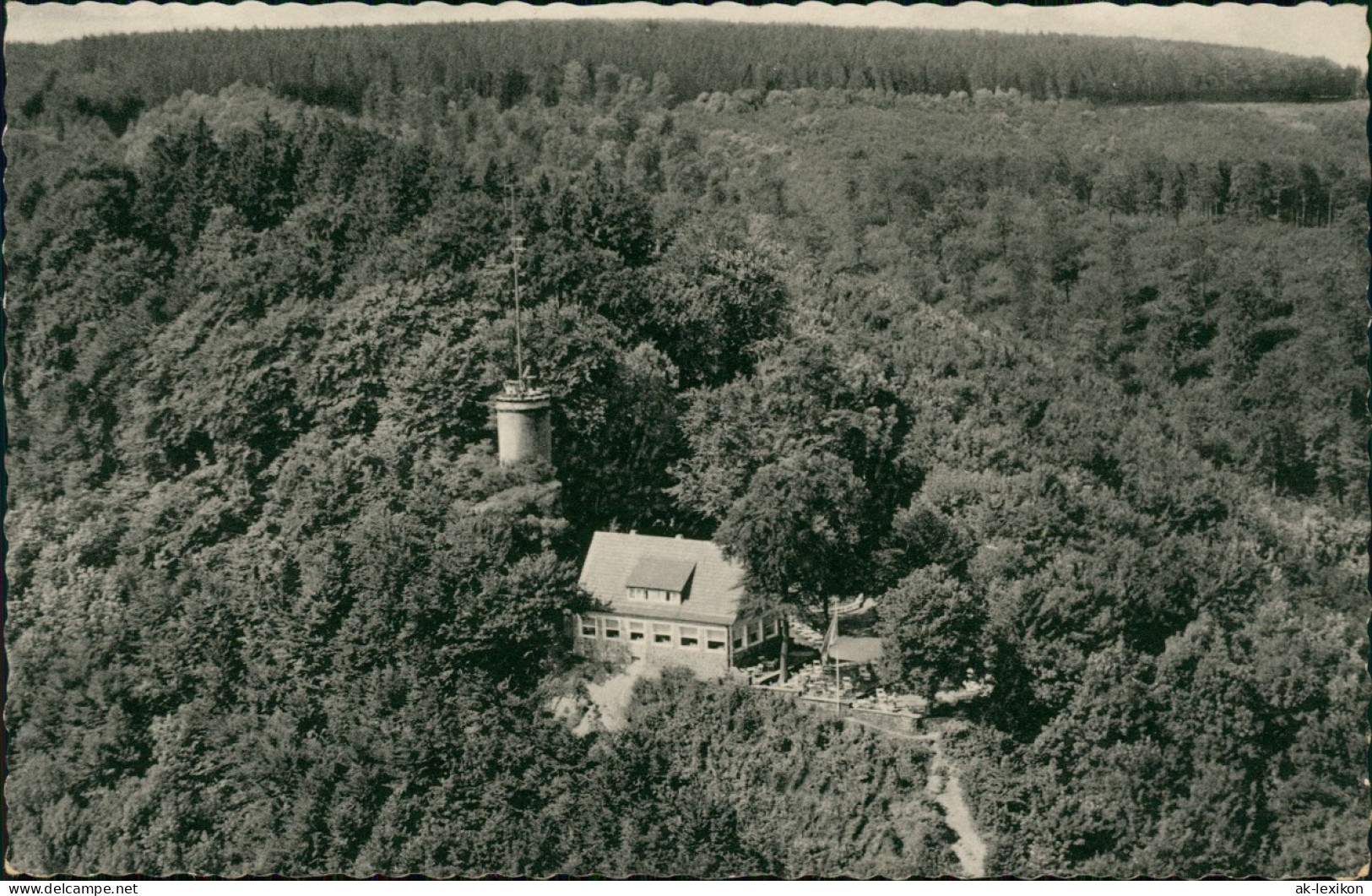 Ansichtskarte Bad Driburg Luftbild Iburgplateau Mit Der Sachsenklause 1963 - Bad Driburg