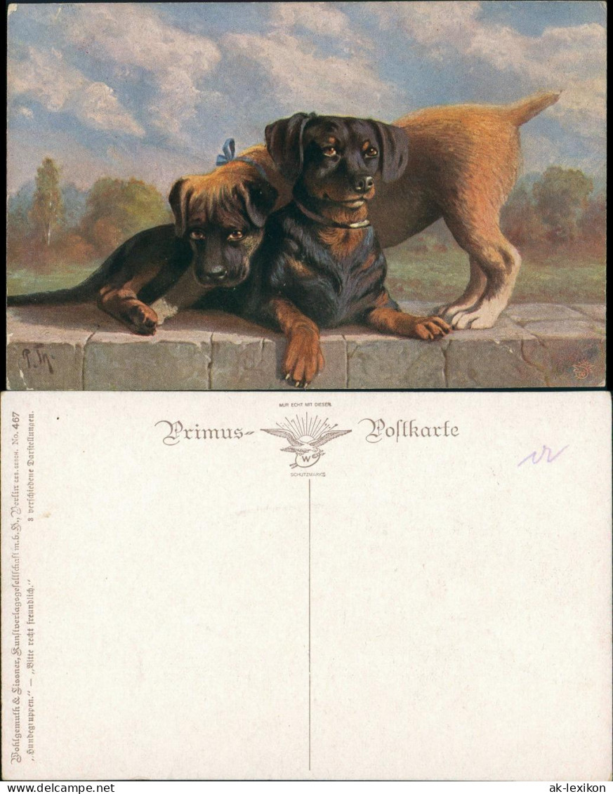 Ansichtskarte  Künstlerkarte Tiere - Hunde Primus-Postkarte 1920 - 1900-1949