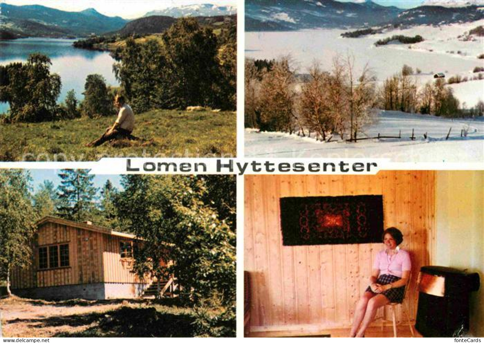 72706142 Norge Norwegen Lomen Hyttesenter Details Norwegen - Norvège