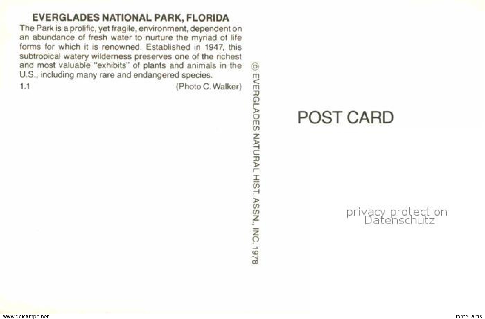 72705667 Florida_US-State Everglades National Park - Autres & Non Classés