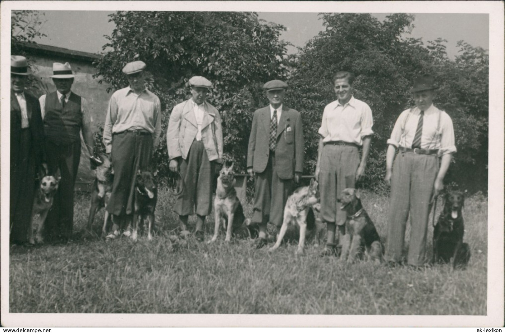 Männer Gruppe Mit Hunden, Real-Photo Men With Dogs 1934 Privatfoto - Personaggi