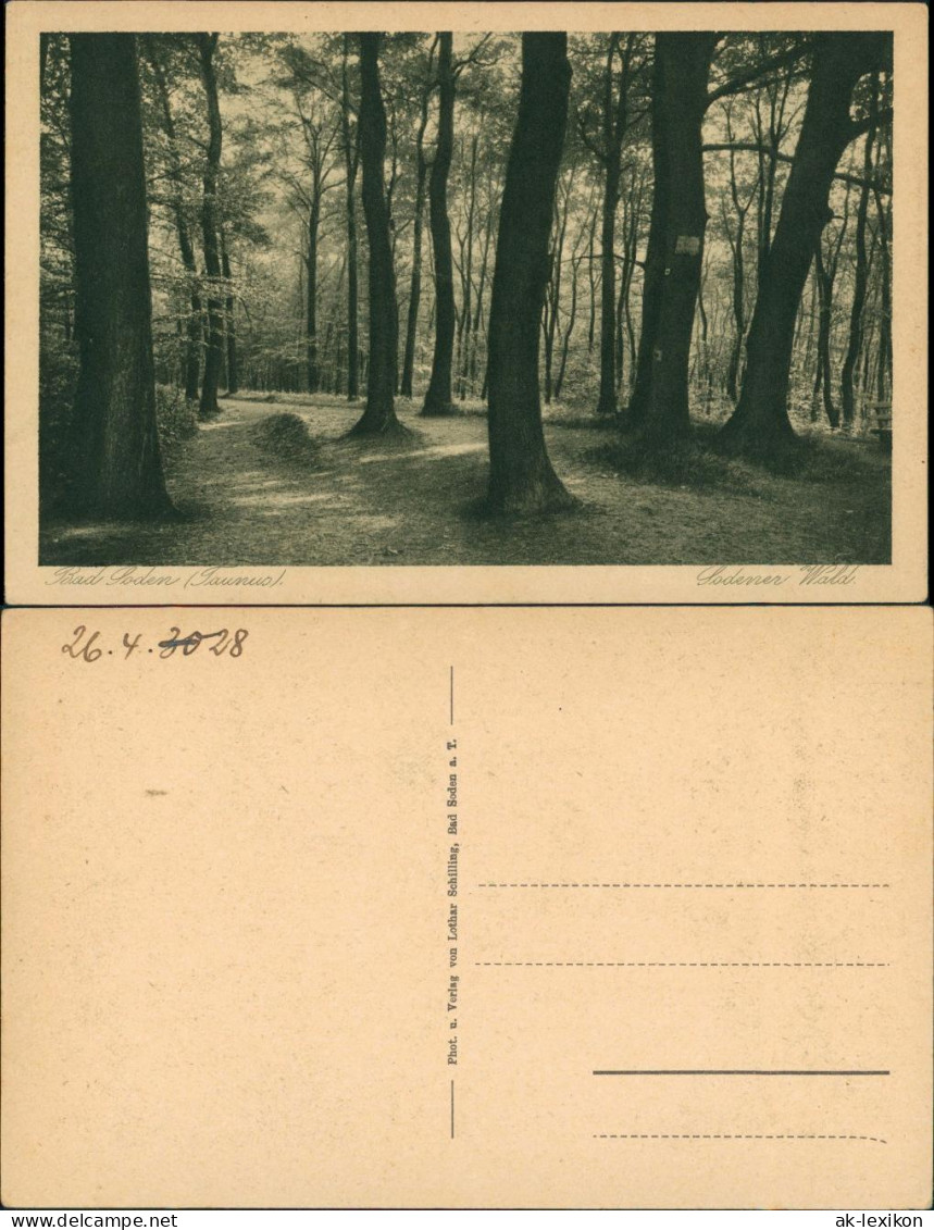 Ansichtskarte  Sodener Wald, Baum, Bäume, Waldweg 1930 - Autres & Non Classés