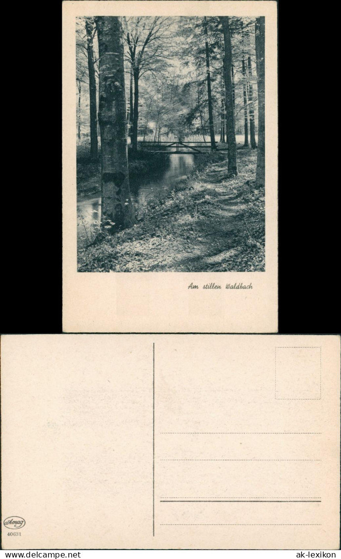 Ansichtskarte  Stimmungsbilder: Natur Am Stillen Waldbach 1929 - Non Classificati