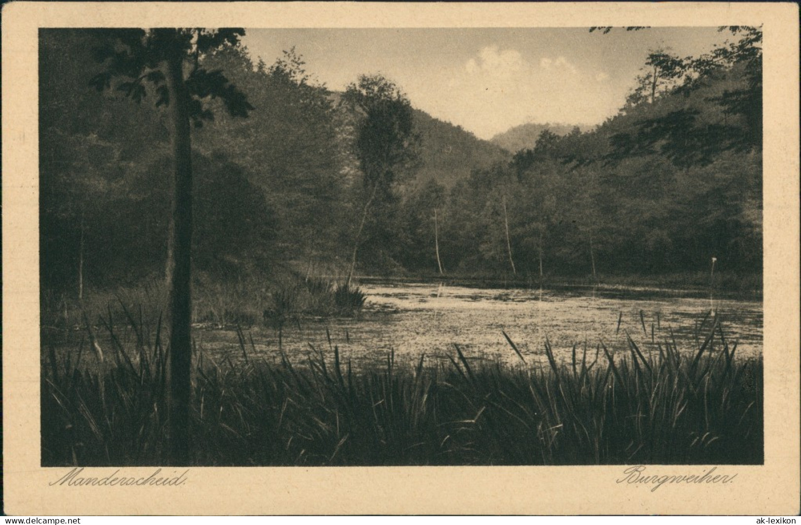 Ansichtskarte Manderscheid Partie Am Burgweiher 1920 - Manderscheid