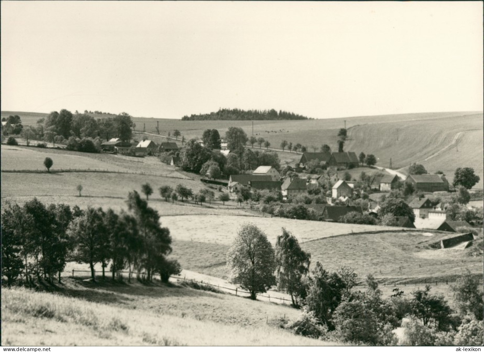 Ansichtskarte Oberweißbach Totale 1954 - Oberweissbach
