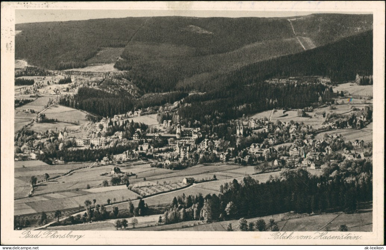 Postcard Bad Flinsberg Świeradów-Zdrój Stadtblick 1928 - Schlesien