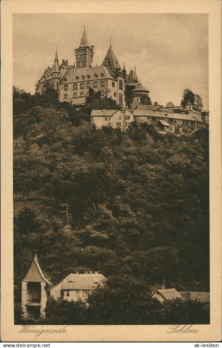 Ansichtskarte Wernigerode Schloss Gesamtansicht, Panoramic View Castle 1920 - Autres & Non Classés