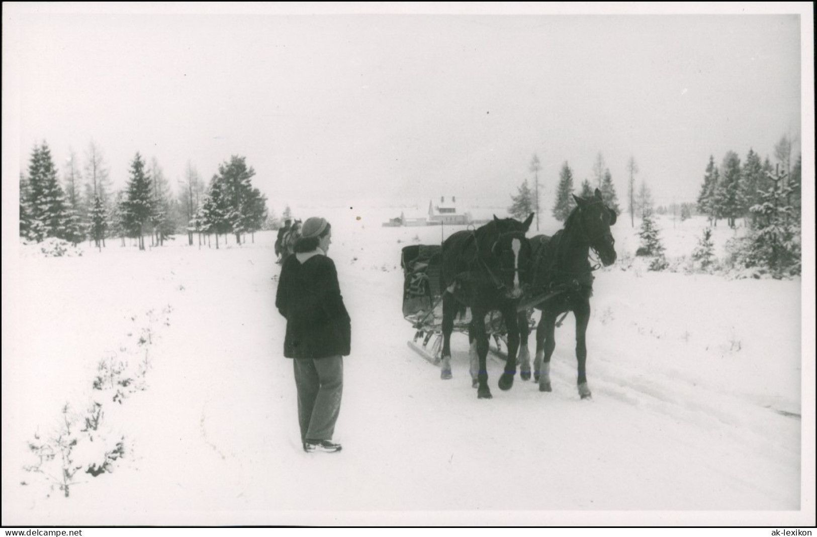 Pferdeschlitten/Pferdekutschen Im Winter - Pferde 1940 Privatfoto - Non Classificati