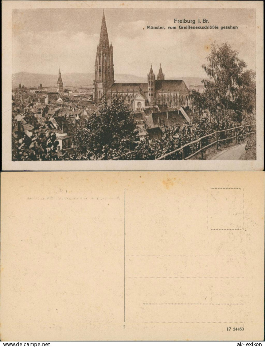 Freiburg Im Breisgau Münster Vom Greiffeneckschlößle Gesehen 1920 - Freiburg I. Br.