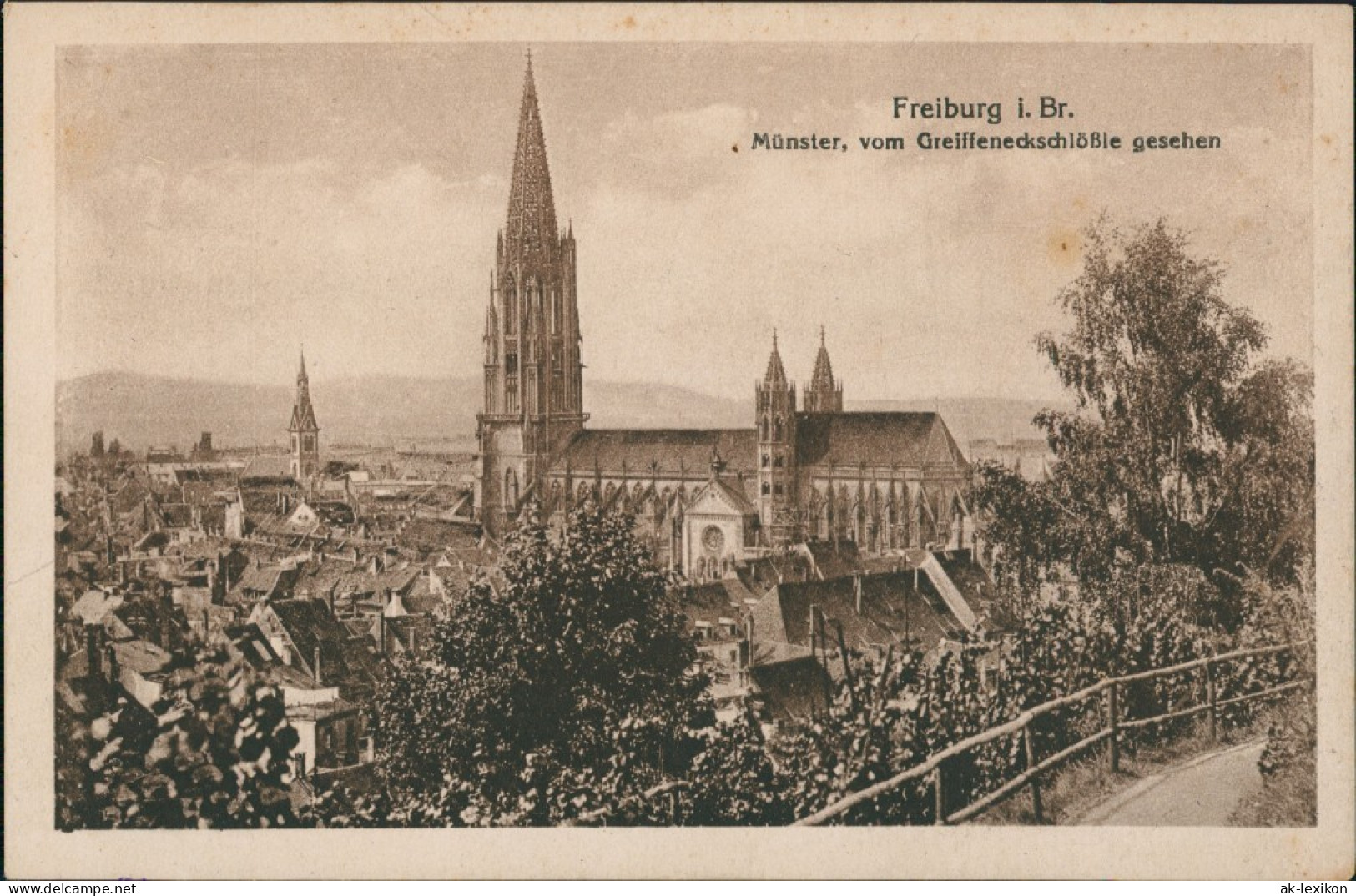 Freiburg Im Breisgau Münster Vom Greiffeneckschlößle Gesehen 1920 - Freiburg I. Br.