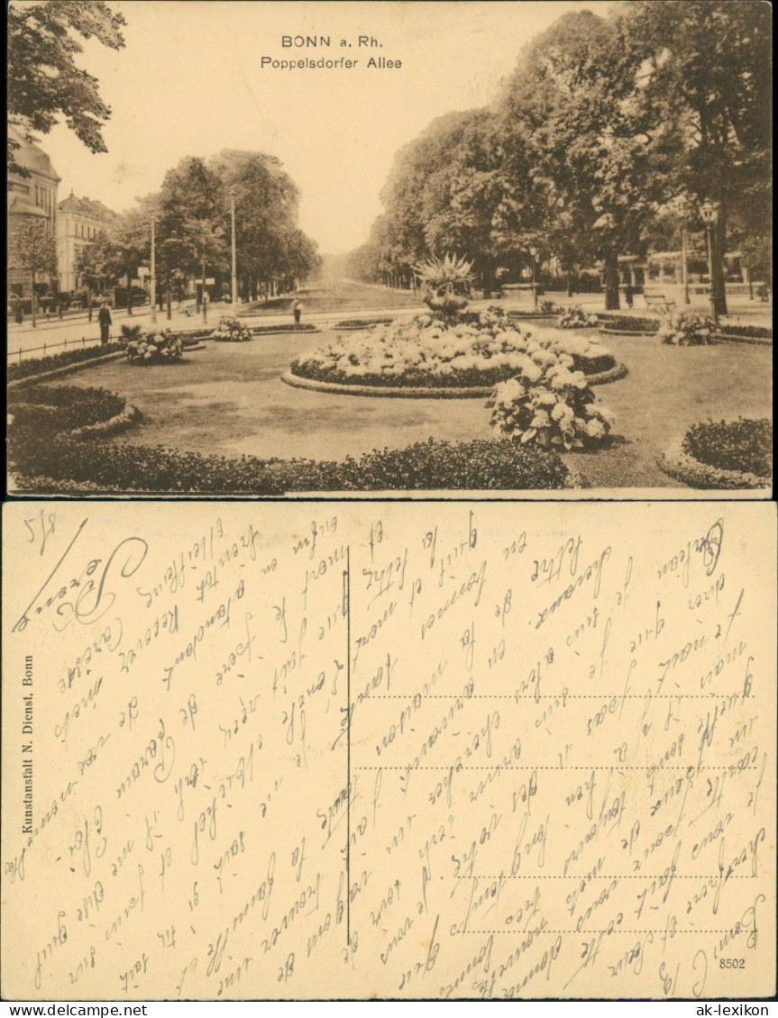 Ansichtskarte Bonn Poppelsdorfer Allee, Grünanlagen 1910 - Bonn