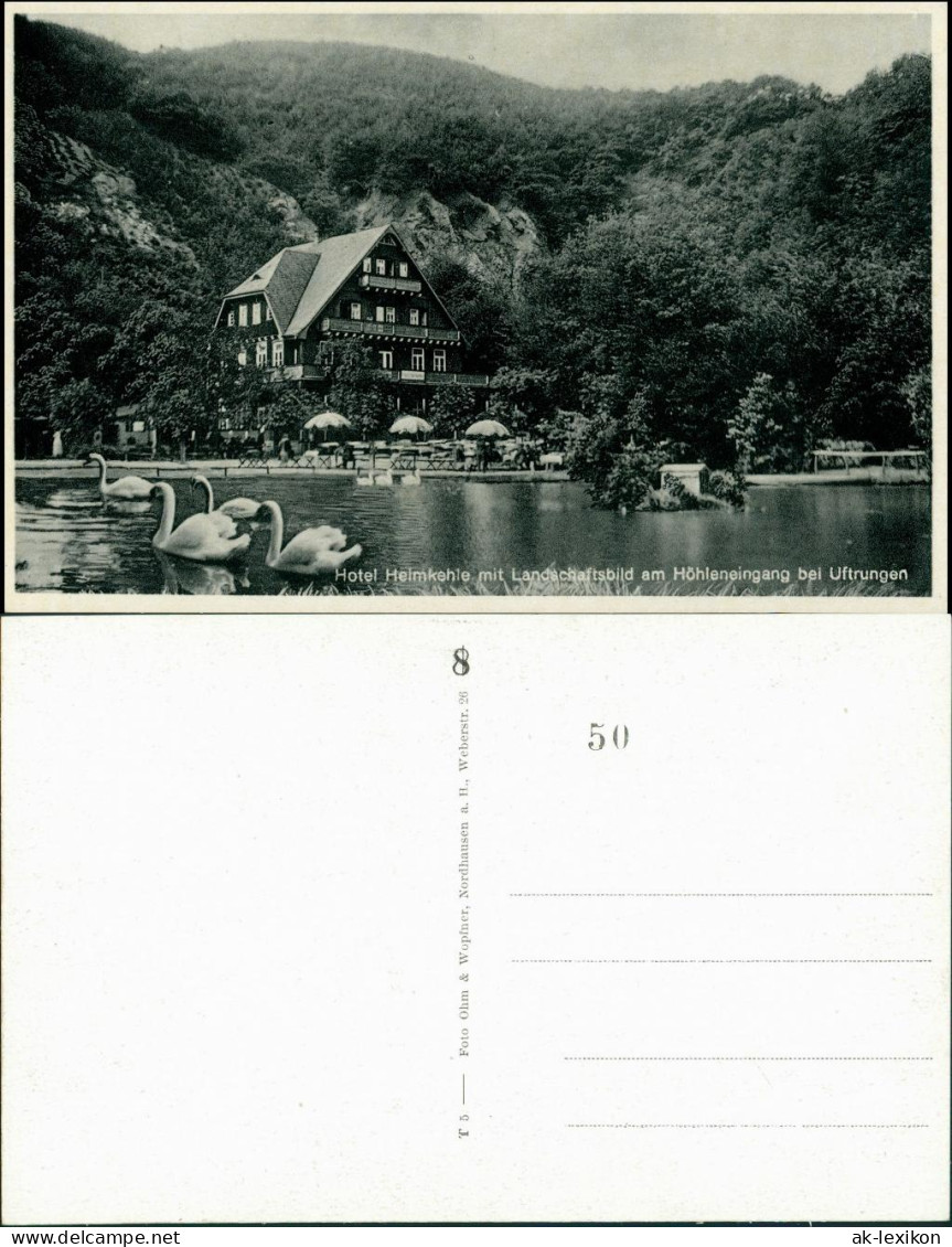 Uftrungen-Südharz Hotel Heimkehle Am Schwanenteich, Schwäne, Teichanlage 1930 - Autres & Non Classés