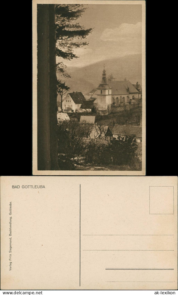 Bad Gottleuba-Bad Gottleuba-Berggießhübel Blick Auf Die Stadt 1930 - Bad Gottleuba-Berggiesshübel