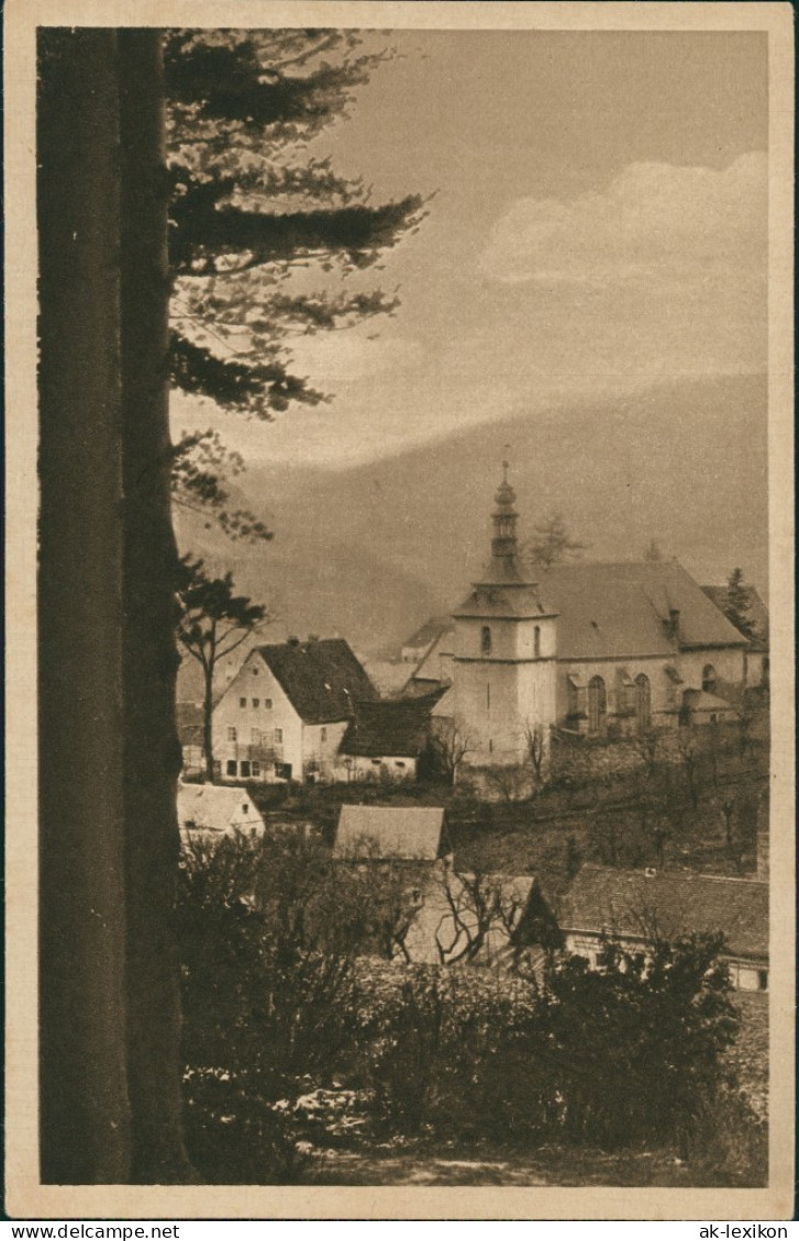 Bad Gottleuba-Bad Gottleuba-Berggießhübel Blick Auf Die Stadt 1930 - Bad Gottleuba-Berggiesshuebel