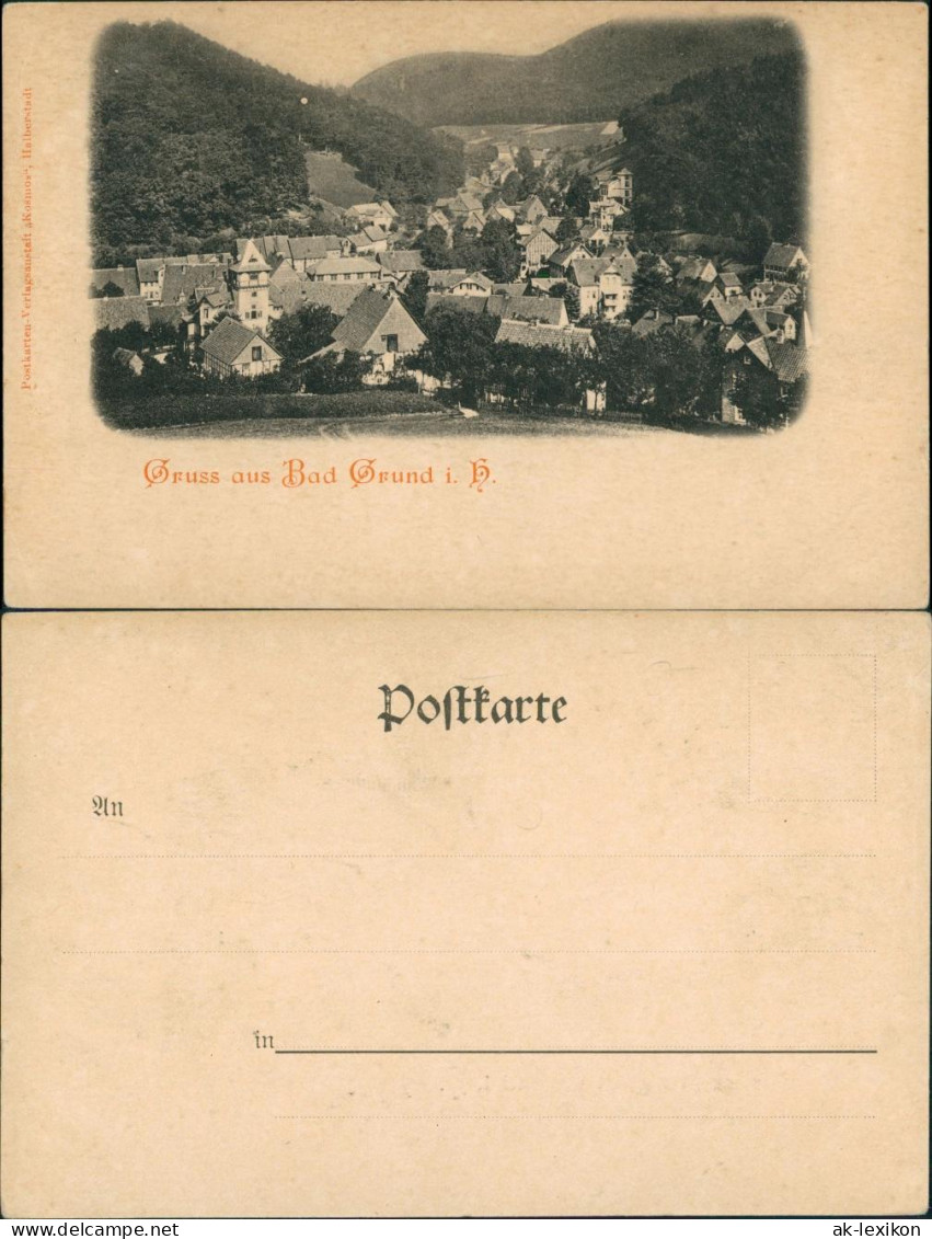 Ansichtskarte Bad Grund (Harz) Stadtpartie 1904 - Bad Grund