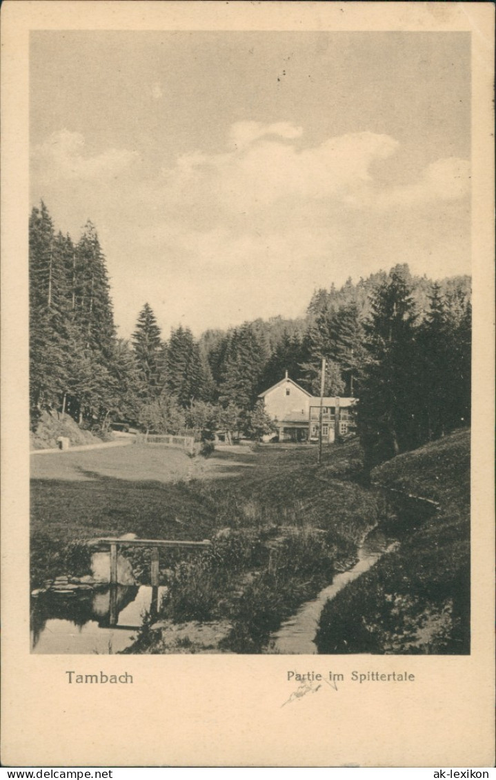 Ansichtskarte Tambach-Dietharz Partie Im Spittertale - Häuser 1922 - Tambach-Dietharz