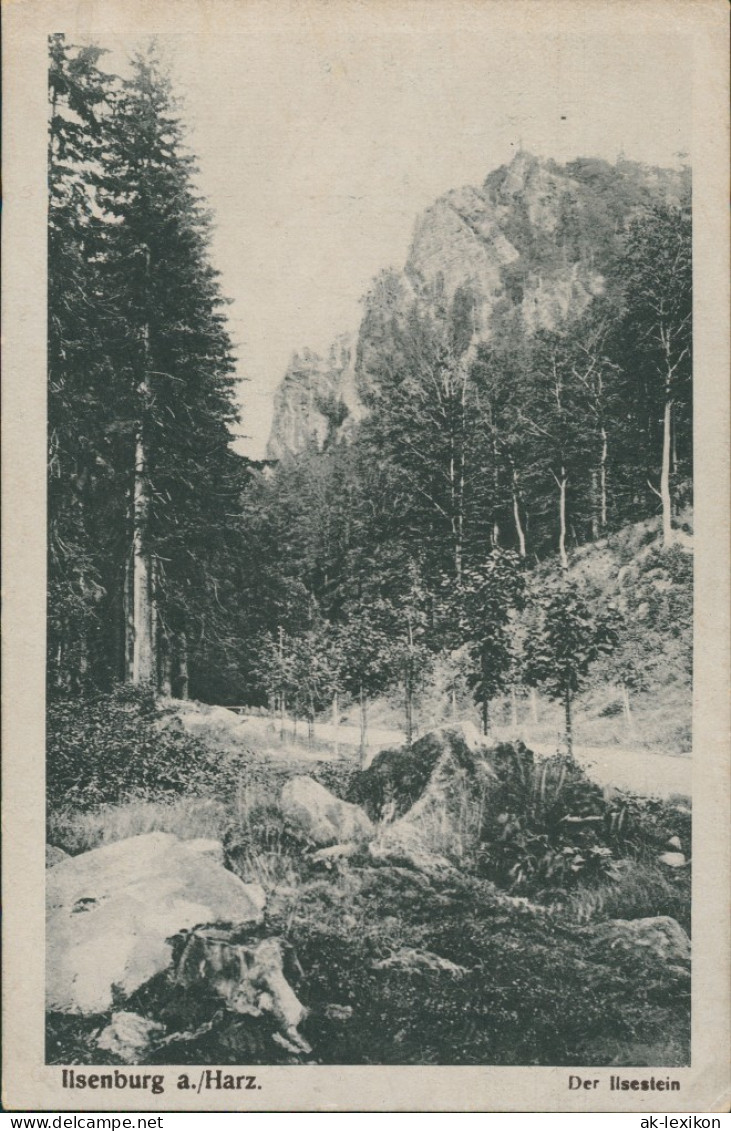 Ilsenburg (Harz) Ilsestein / Ilsenstein, Waldweg, Wald Partie Harz 1918 - Autres & Non Classés