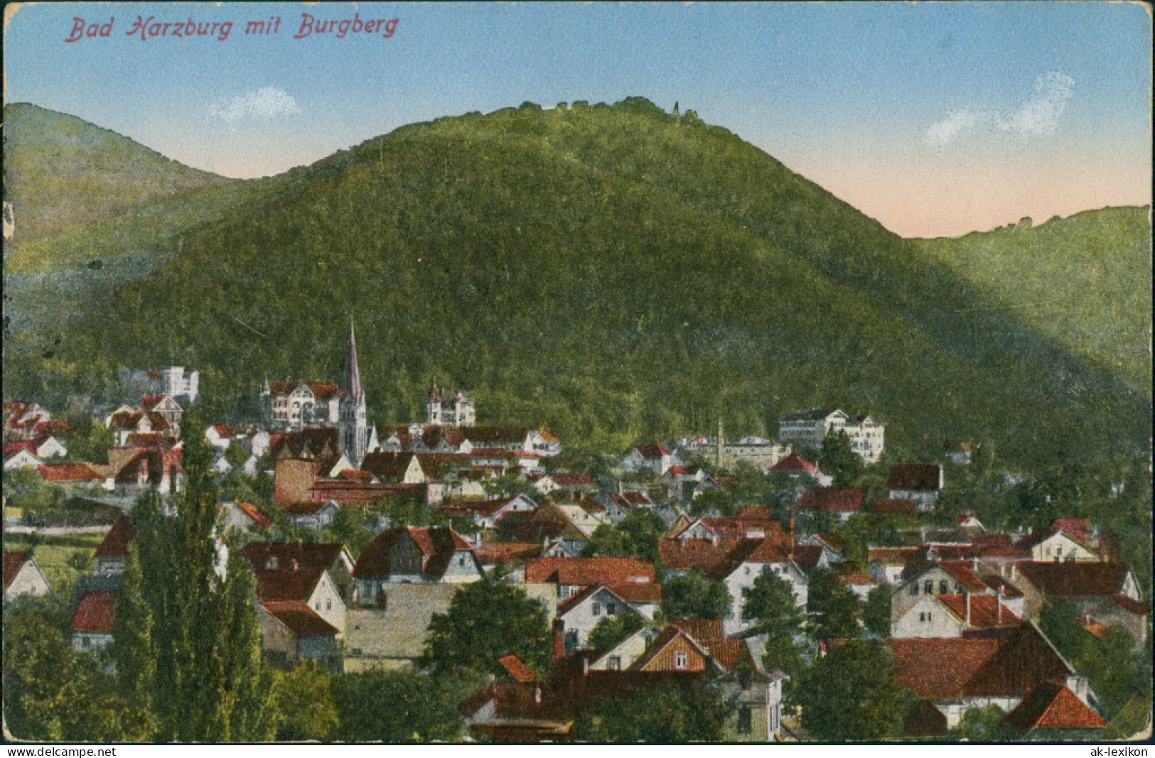 Ansichtskarte Bad Harzburg Gesamtansicht Mit Burgberg 1910 - Bad Harzburg