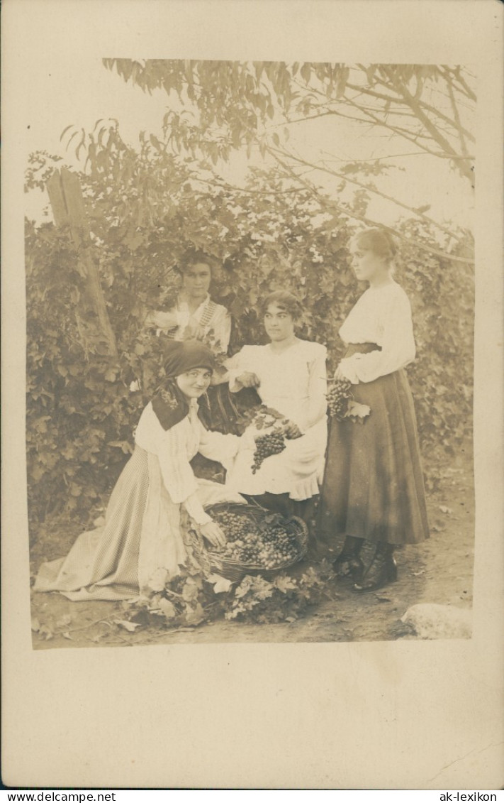 Echtfoto Personen Weinlese, Traubenernte, Weinberge 1910 Privatfoto - Paysans