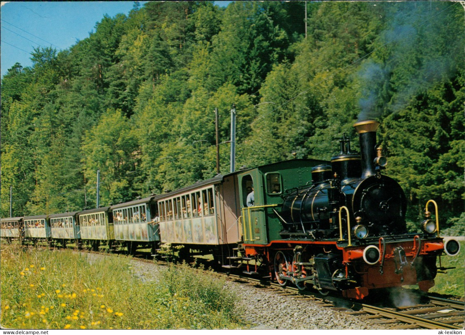 Eisenbahn (Railway) SIHLTALBAHN (Zürich Selnau-Sihlbrugg) Dampflok-Zug 1980 - Trains