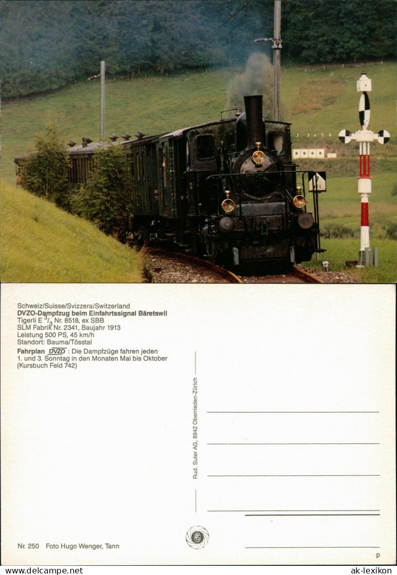 Verkehr & Eisenbahn (Railway) DVZO-Dampfzug Beim Einfahrtssignal Bäretswil 1980 - Eisenbahnen