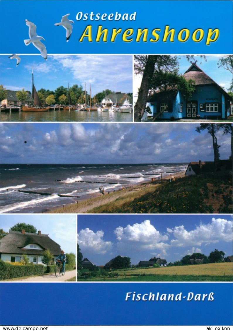 Ansichtskarte Fischland Mehrbild-AK 5 Fotos, Ostsee, Ostseebad 2005 - Andere & Zonder Classificatie