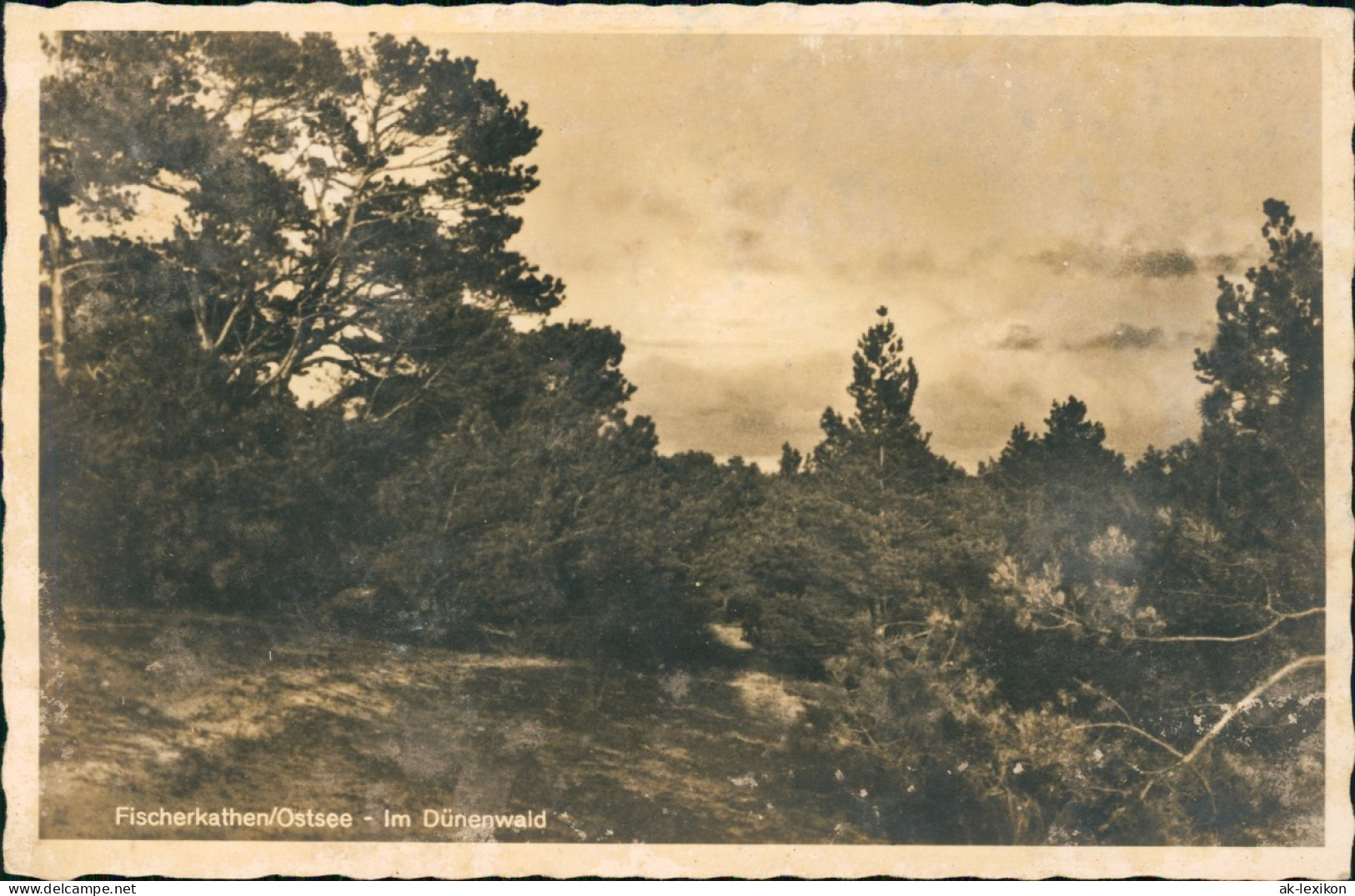 Postcard Fischerkathen Pogorzelica Ostsee Im Dünenwald - Pommern 1936 - Pommern