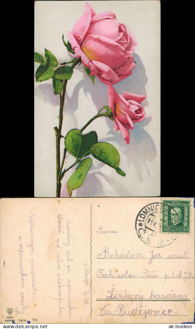 Ansichtskarte  Blumen Botonik Künstlerkarte Rosa Rosen 1928 - Malerei & Gemälde