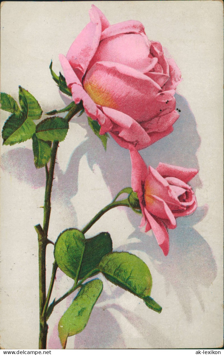 Ansichtskarte  Blumen Botonik Künstlerkarte Rosa Rosen 1928 - Malerei & Gemälde