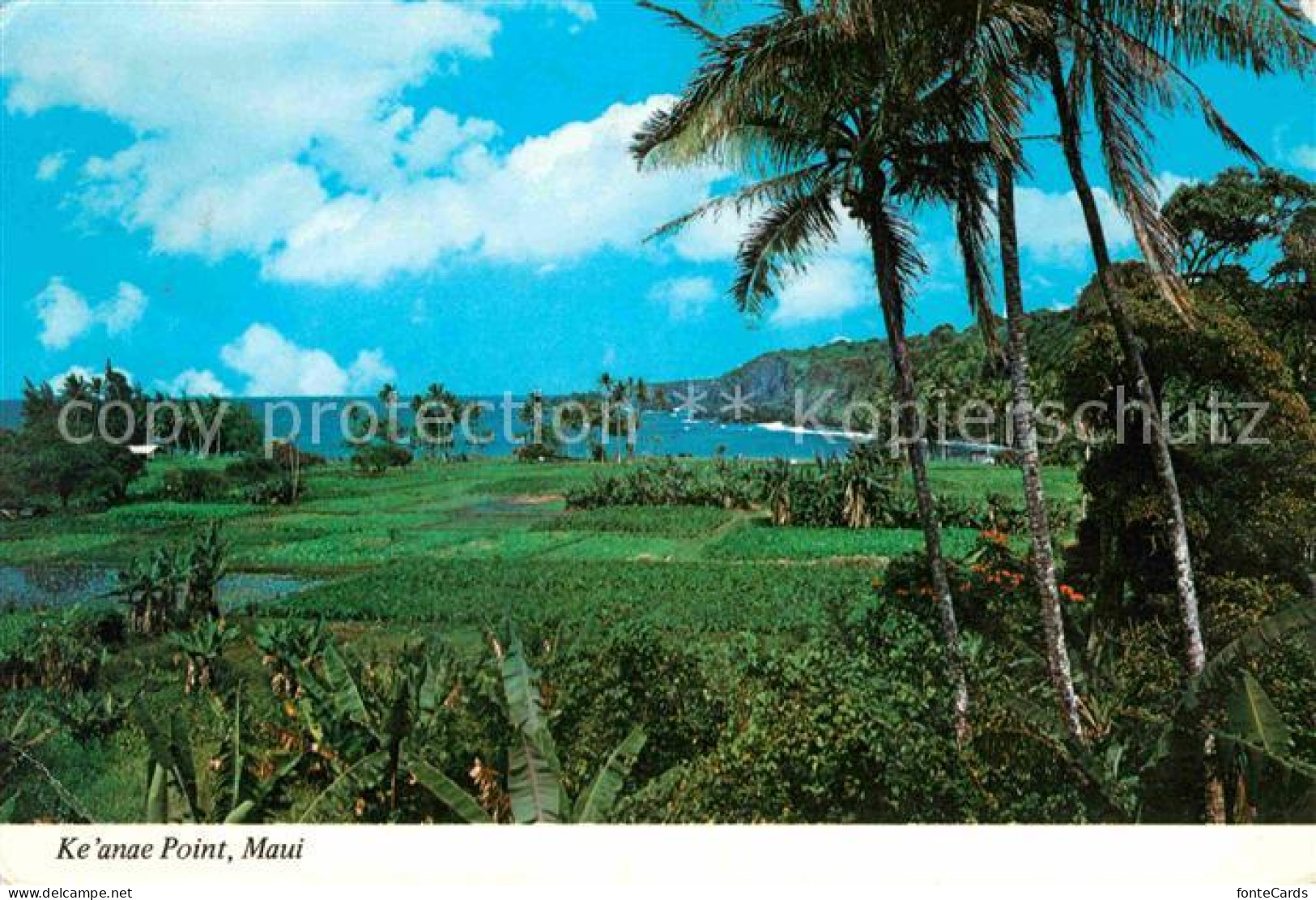 72647555 Maui_Hawaii Keanae Point - Sonstige & Ohne Zuordnung