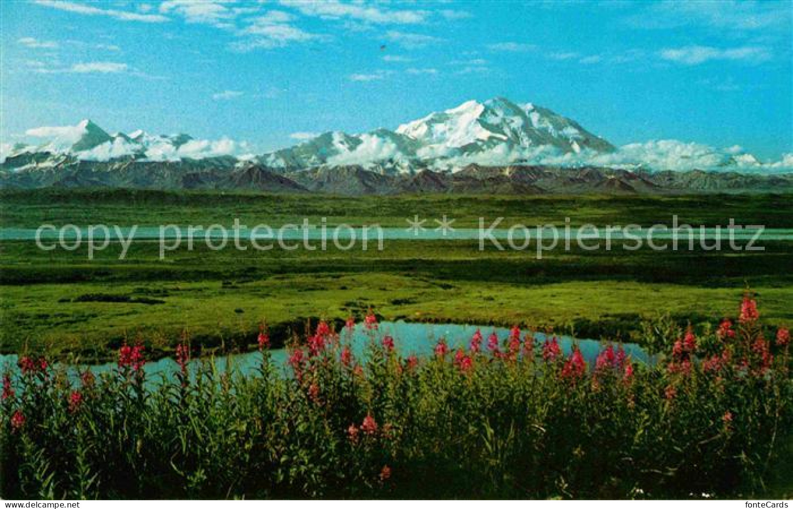 72642879 Mount_McKinley_Alaska McKinley National Park - Sonstige & Ohne Zuordnung