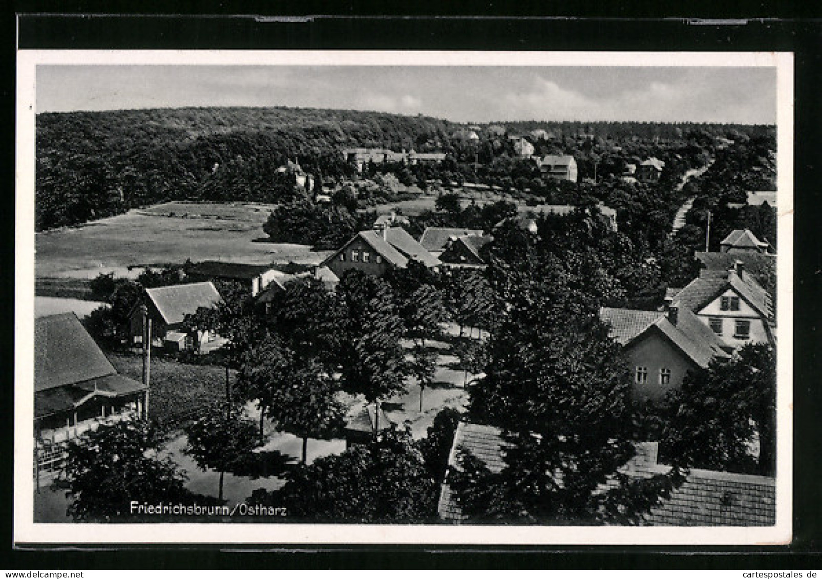 AK Friedrichsbrunn / Ostharz, Blick Auf Die Siedlung  - Autres & Non Classés