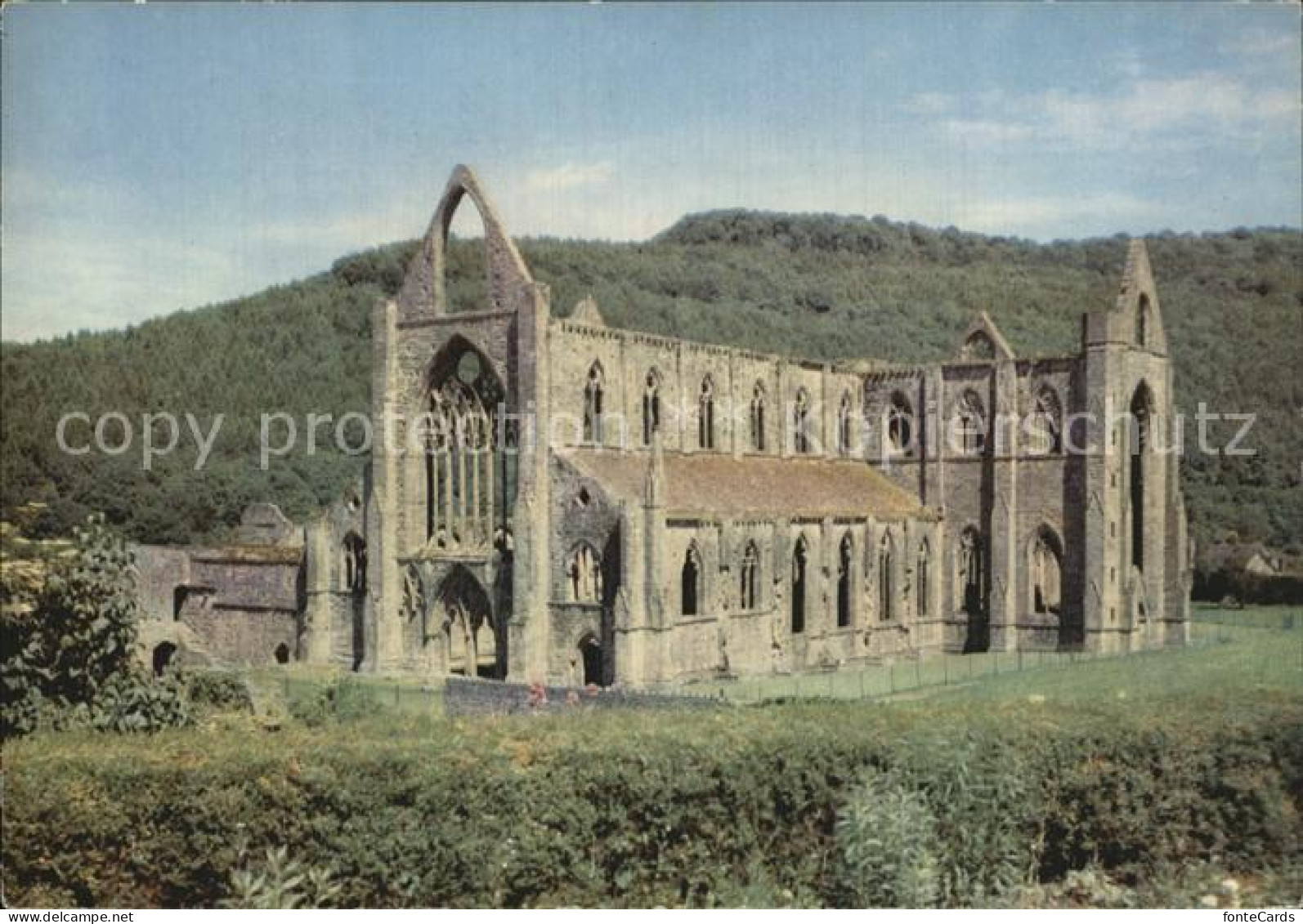 72541870 Monmouthshire Tintern Abbey  - Autres & Non Classés