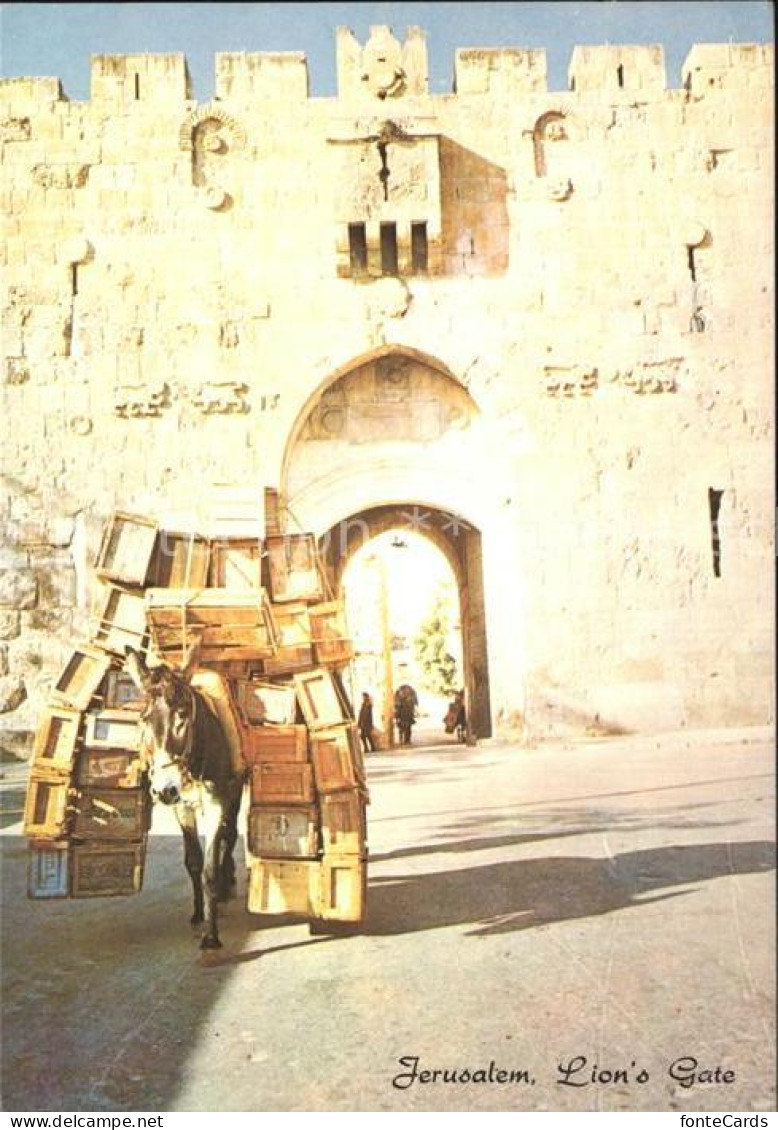 72531547 Jerusalem Yerushalayim Lions Gate  - Israel