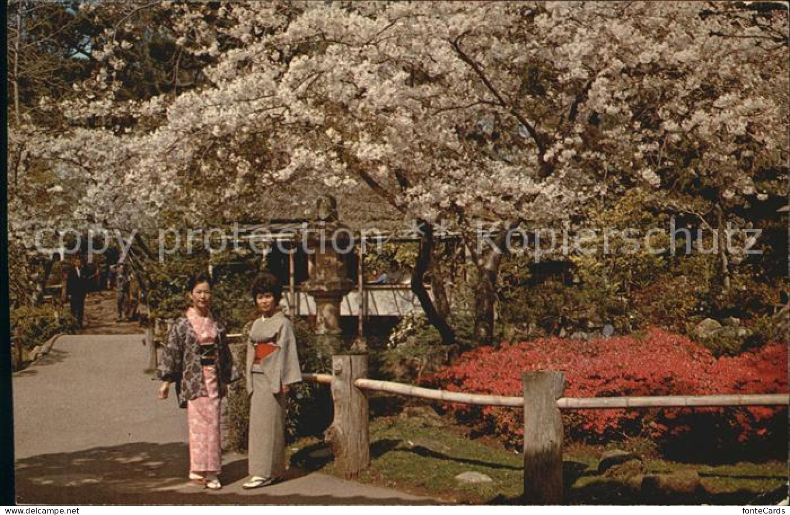 72458268 San_Francisco_California Japanese Tea Garden  - Otros & Sin Clasificación